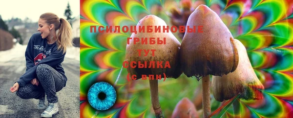 экстази Баксан