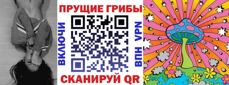 blacksprut tor  Сясьстрой  Галлюциногенные грибы GOLDEN TEACHER 